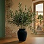 Florimo Fresh Flowers Fresh Olive branches | 350 - 400 grams per bunch | Length 65 - 70 centimetres | Per bunch