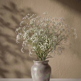 Florimo Fresh Flowers Vers wit Gipskruid | Gypsophila paniculata Xlence | 30 gram | 25 takken