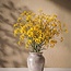 Vers geel Gipskruid | Gele Gypsophila paniculata Xlence | 40 gram | 25 takken per bos | Per bos te bestellen