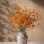 Vers oranje Gipskruid | Oranje Gypsophila paniculata Xlence | 40 gram | 25 takken per bos | Per bos te bestellen