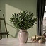 Fresh Holm Oak branches | 250 grams per bundle | Length 65 - 70 centimetres | Order by bunch