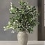 Florimo Fresh Flowers Verse Pittosporum Ralphi takken | Lengte 60 centimeter | Per 400 gram