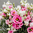 Verse bloemen
