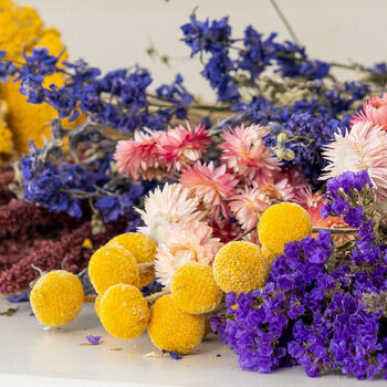 Trockenblumen