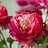 Kunstblumen Bouquet