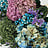 Gepreserveerde bloemen