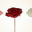 Wax rozen