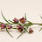 Fritillaria (Kievitsbloem)