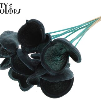 Badam op steel | Kleur: Turquoise | Lengte bijsteker ± 50 centimeter | 10 stelen per bos | Per bos