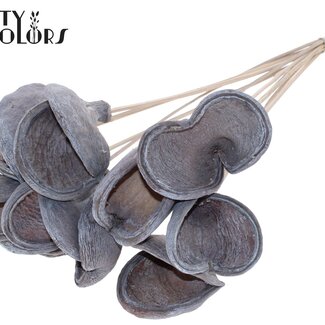 Badam op steel | Kleur: Frosted Wit | Lengte bijsteker ± 50 centimeter | 10 stelen per bos | Per bos
