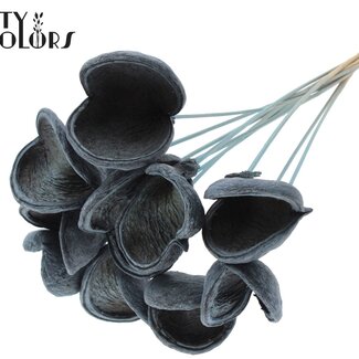 QC Badam op steel | Kleur: Frosted Lichtblauw | Lengte bijsteker ± 50 centimeter | 10 stelen per bos | Per bos