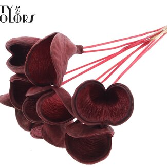 Badam op steel | Kleur: Rood | Lengte bijsteker ± 50 centimeter | 10 stelen per bos | Per bos