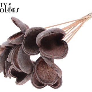 Badam op steel | Kleur: Frosted Zalmkleurig | Lengte bijsteker ± 50 centimeter | 10 stelen per bos | Per bos
