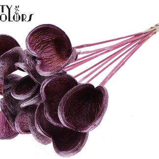 Badam op steel | Kleur: Metallic Roze | Lengte bijsteker ± 50 centimeter | 10 stelen per bos | Per bos