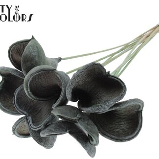 QC Badam op steel | Kleur: Frosted Mintgroen | Lengte bijsteker ± 50 centimeter | 10 stelen per bos | Per bos