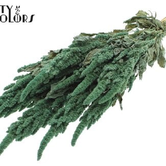 QC Gedroogde Amaranthus | Kleur: Frosted Mintgroen | Kattenstaart Droogbloemen | Lengte ± 60 centimeter | Per bos
