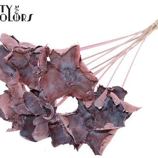 Gedroogde Palm Cup op steel | Kleur: Frosted Lichtroze | Lengte ± 50 centimeter | 10 stelen per bos