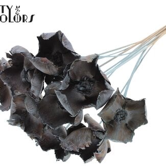 QC Gedroogde Palm Cup op steel | Kleur: Frosted Lichtblauw | Lengte ± 50 centimeter | 10 stelen per bos