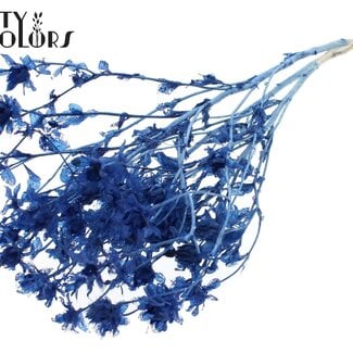 Gedroogde Gebleekte Carthamus | Kleur: Blauw | Saffloer of Bidens Droogbloemen | Lengte ± 70 centimeter | Per bos