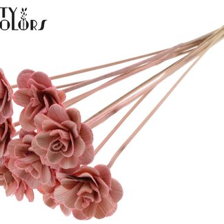 Shola Rozen op stok | Kleur: Lichtroze | Shola Beetal Rose | Diameter 6 centimeter | Lengte ± 50 centimeter | 10 bijstekers per bos | Per bos