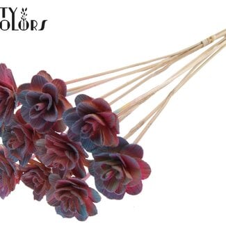 Shola Rozen op stok | Kleur: Verloop Roze | Shola Beetal Rose | Diameter 6 centimeter | Lengte ± 50 centimeter | 10 bijstekers per bos | Per bos