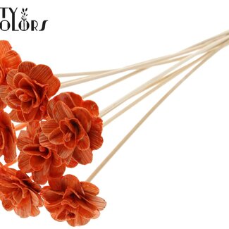 Shola Rozen met was op stok | Kleur: Oranje | Shola Beetal Rose | Diameter 6 centimeter | Lengte ± 50 centimeter | 10 bijstekers per bos | Per bos