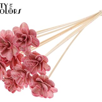 Shola Rozen met was op stok | Kleur: Lichtroze | Shola Beetal Rose | Diameter 6 centimeter | Lengte ± 50 centimeter | 10 bijstekers per bos | Per bos