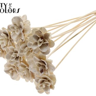 Shola Rozen met was op stok | Kleur: Wit | Shola Beetal Rose | Diameter 6 centimeter | Lengte ± 50 centimeter | 10 bijstekers per bos | Per bos