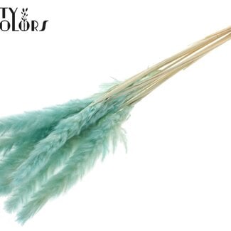 QC Gedroogde Gebleekte Fluffy Pampas Pluimen | Kleur: Turquoise | Lengte ± 70 centimeter | 10 pluimen per bos | Per bos