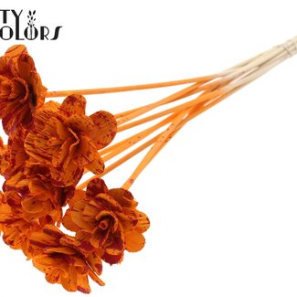 QC Shola Rozen op stok | Kleur: Gespetterd Oranje Rood | Shola Beetal Rose | Diameter 6 centimeter | Lengte ± 50 centimeter | 10 bijstekers per bos | Per bos