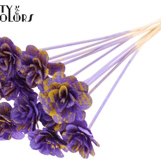 Shola Rozen op stok | Kleur: Gespetterd Paars Geel | Shola Beetal Rose | Diameter 6 centimeter | Lengte ± 50 centimeter | 10 bijstekers per bos | Per bos