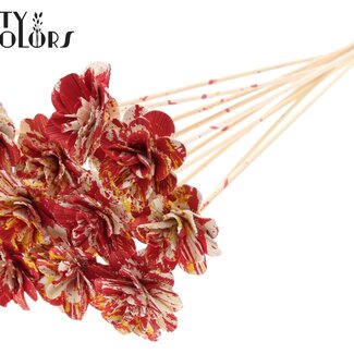 Shola Rozen met was op stok | Kleur: Meerkleurig Rood Geel | Shola Beetal Rose | Diameter 6 centimeter | Lengte ± 50 centimeter | 10 bijstekers per bos | Per bos