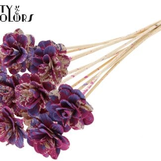 QC Shola Rozen met was op stok | Kleur: Meerkleurig Kerskleurig Milkapaars | Shola Beetal Rose | Diameter 6 centimeter | Lengte ± 50 centimeter | 10 bijstekers per bos | Per bos