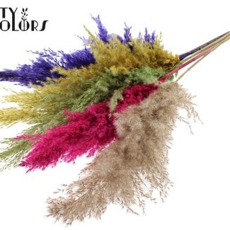 Gedroogde Pampas Pluimen “Kleurrijk 2” | Kleur: Gemengde Kleuren | Pampas Droogbloemen | Lengte ± 100 centimeter | 5 pluimen per bos | Per bos