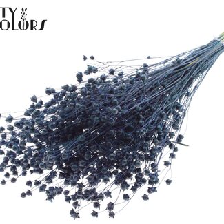 Gedroogd Lino Vlas | Kleur: Donkerblauw | Linum Droogbloemen | Lengte ± 50 centimeter | Gewicht 150 gram | Per bos
