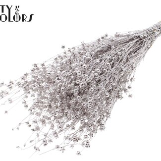 QC Gedroogd Lino Vlas | Kleur: Champagnekleurig | Linum Droogbloemen | Lengte ± 50 centimeter | Gewicht 150 gram | Per bos