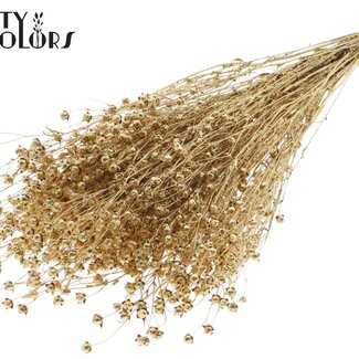 Gedroogd Lino Vlas | Kleur: Antiek Goudkleurig met Glitter | Linum Droogbloemen | Lengte ± 50 centimeter | Gewicht 150 gram | Per bos