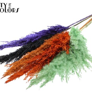 QC Gedroogde Pampas Pluimen “Halloween Mix” | Kleur: Gemengde Kleuren | Pampas Droogbloemen | Lengte ± 100 centimeter | 5 pluimen per bos | Per bos