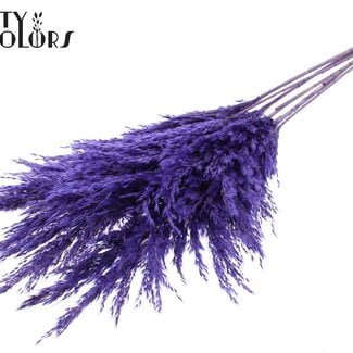 Gedroogde Pampas Pluimen | Kleur: Paars | Pampas Droogbloemen | Lengte ± 100 centimeter | 5 pluimen per bos | Per bos