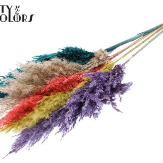 Gedroogde Pampas Pluimen “Kleurrijk 5” | Kleur: Gemengde Kleuren | Pampas Droogbloemen | Lengte ± 100 centimeter | 5 pluimen per bos | Per bos