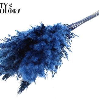 Gedroogde Pampas Pluimen | Kleur: Donkerblauw | Pampas Droogbloemen | Lengte ± 70 centimeter | 10 pluimen per bos | Per bos