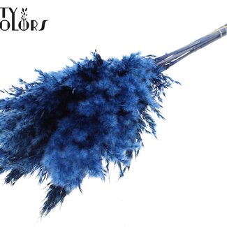 QC Gedroogde Pampas Pluimen | Kleur: Donkerblauw | Pampas Droogbloemen | Lengte ± 70 centimeter | 10 pluimen per bos | Per bos