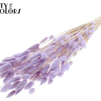QC Gedroogde Gebleekte Hazenstaartjes Premium | Kleur: Milkapaars | Lagurus Ovatus droogbloemen | Lengte ± 70 centimeter | Gewicht 100 gram | Per bos