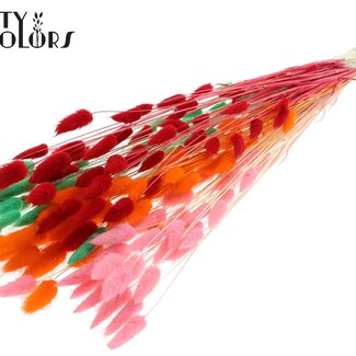Gedroogde Gebleekte Hazenstaartjes Premium | Fluor Sorbet | Kleur: Gemengde Kleuren | Lagurus Ovatus droogbloemen | Lengte ± 70 centimeter | Gewicht 100 gram | Per bos