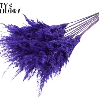 QC Gedroogde Pampas Pluimen | Kleur: Frosted Paars | Pampas Droogbloemen | Lengte ± 70 centimeter | 10 pluimen per bos | Per bos