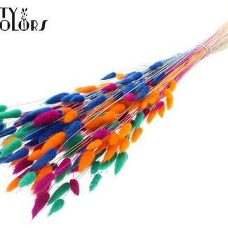 Gedroogde Gebleekte Hazenstaartjes Premium | Neon Dusk | Kleur: Gemengde Kleuren | Lagurus Ovatus droogbloemen | Lengte ± 70 centimeter | Gewicht 100 gram | Per bos