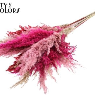 Gedroogde Pampas Pluimen “Lady Mix” | Kleur: Gemengde Kleuren | Pampas Droogbloemen | Lengte ± 70 centimeter | 10 pluimen per bos | Per bos