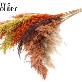 Gedroogde Pampas Pluimen “Kleurrijk 3” | Kleur: Gemengde Kleuren | Pampas Droogbloemen | Lengte ± 70 centimeter | 10 pluimen per bos | Per bos