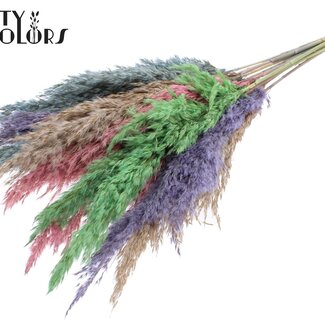 QC Gedroogde Pampas Pluimen “Kleurrijk 1” | Kleur: Gemengde Kleuren | Pampas Droogbloemen | Lengte ± 70 centimeter | 10 pluimen per bos | Per bos