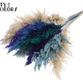 Gedroogde Pampas Pluimen “Scandinavian Mix” | Kleur: Gemengde Kleuren | Pampas Droogbloemen | Lengte ± 70 centimeter | 10 pluimen per bos | Per bos
